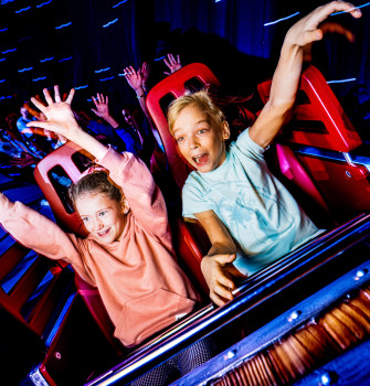Rollercoaster Wikingów